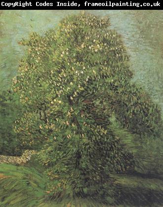 Vincent Van Gogh Chestnut Tree in Blosson (nn04)